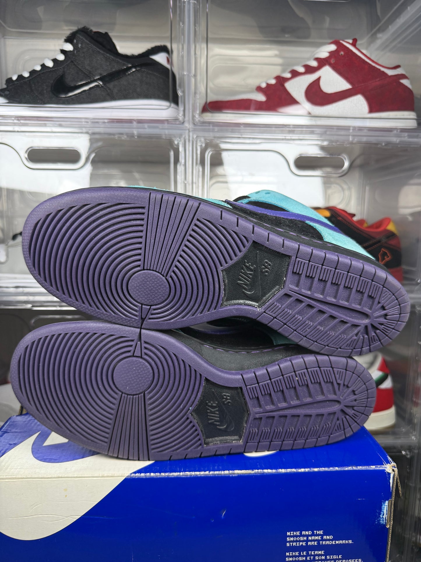 Nike dunk sb Skeletor sz 11