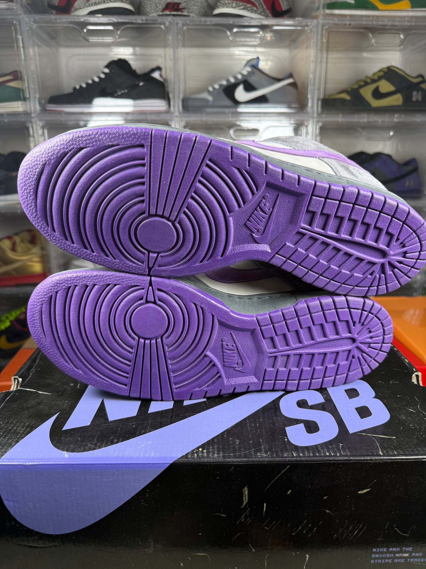 Nike dunk SB purple pigeon sz 12