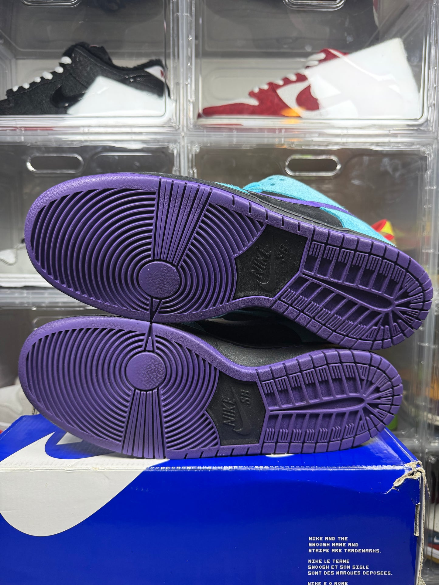 Size 11 - Nike Dunk Low Pro SB Skeletor