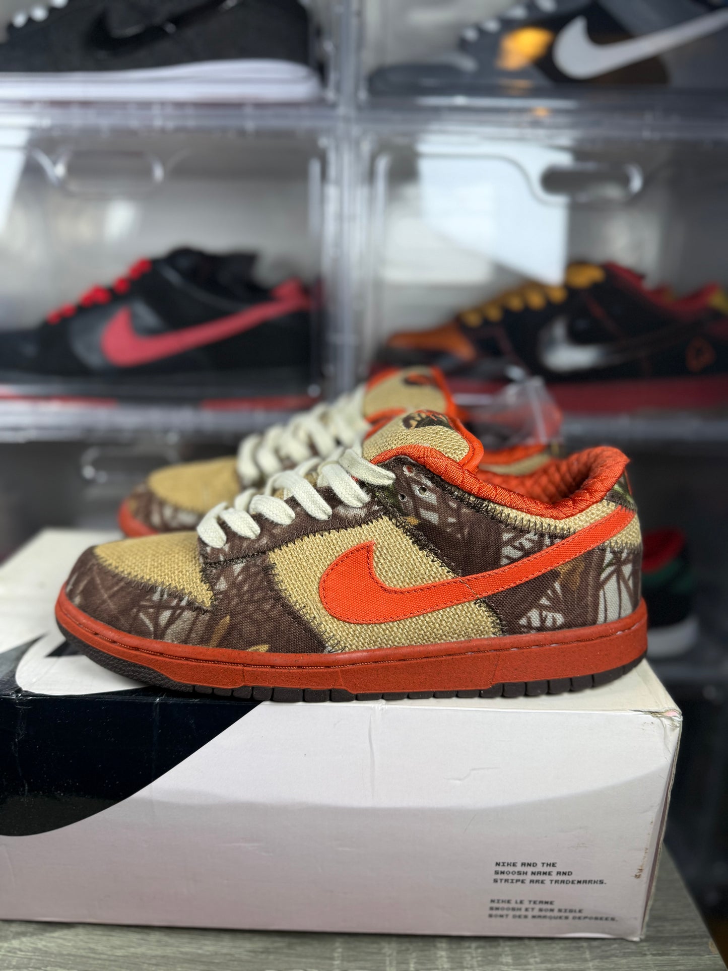 Nike dunk sb Reese Forbes Hunter sz 11