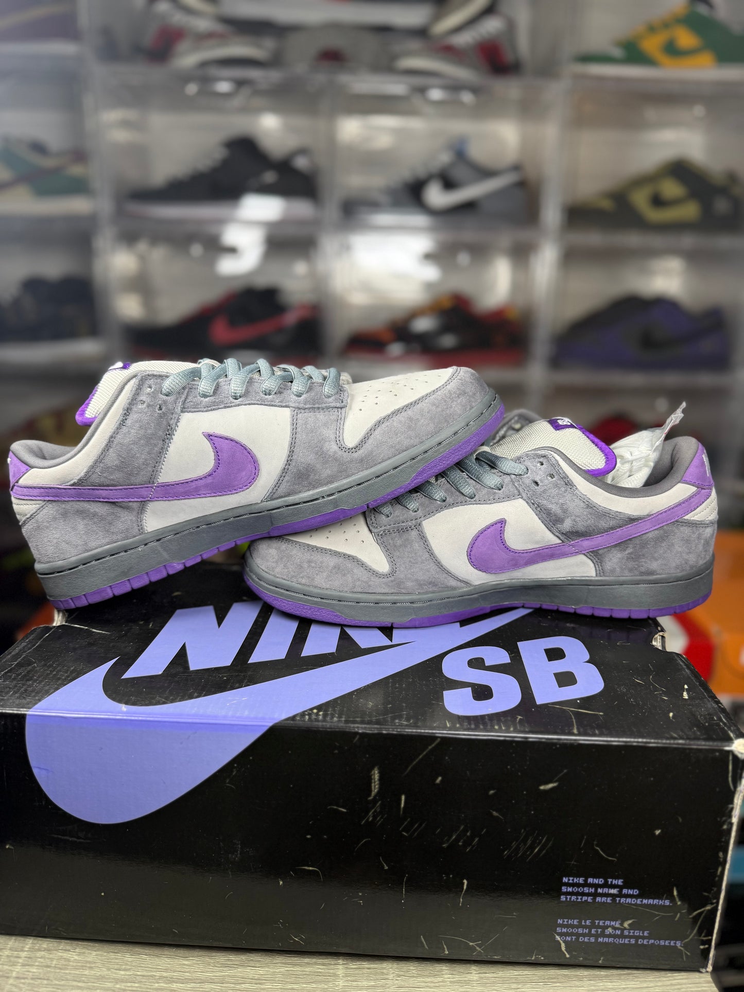 Nike dunk SB purple pigeon sz 12