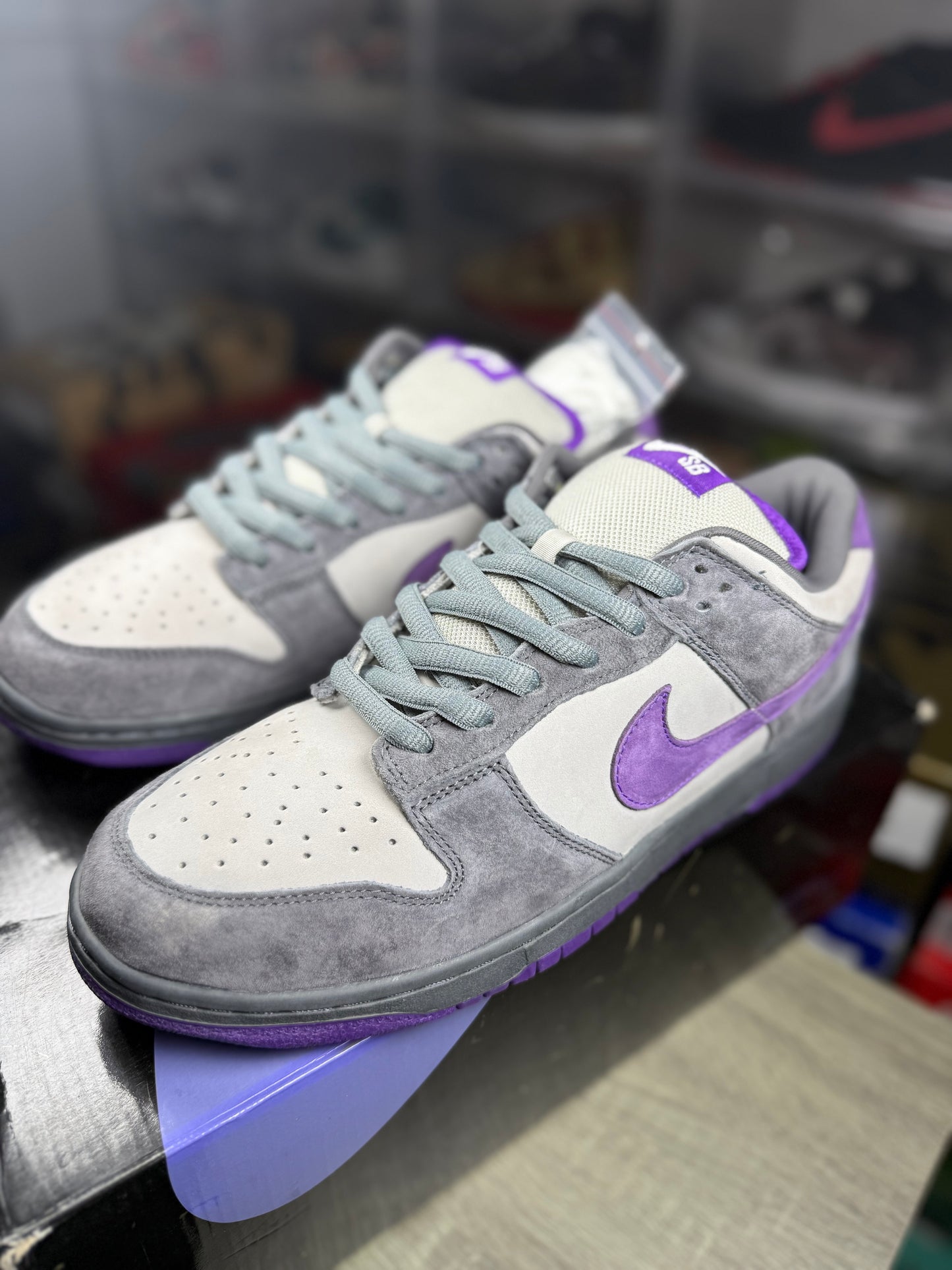 Nike dunk SB purple pigeon sz 12