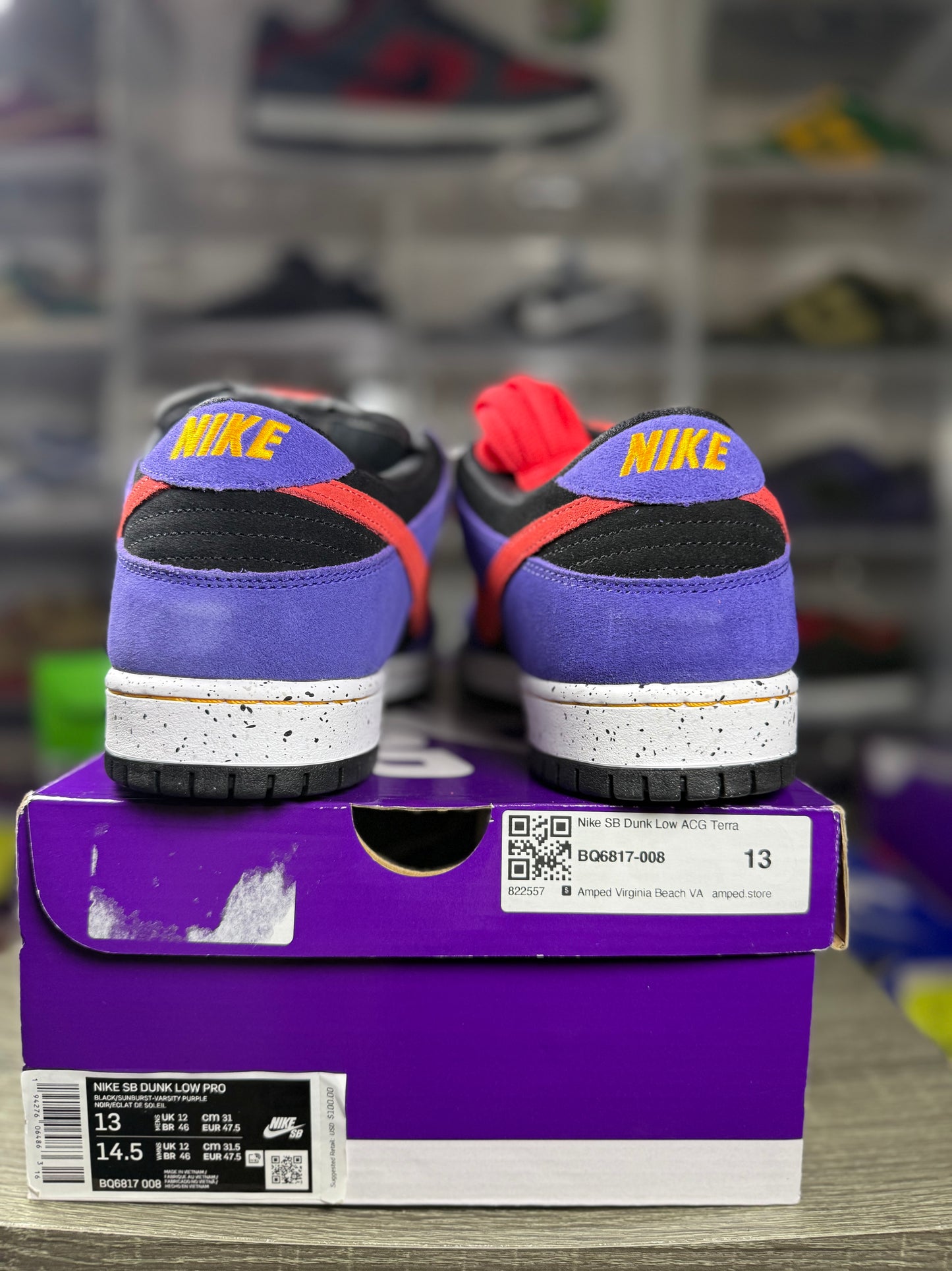 Nike dunk sb acg terra