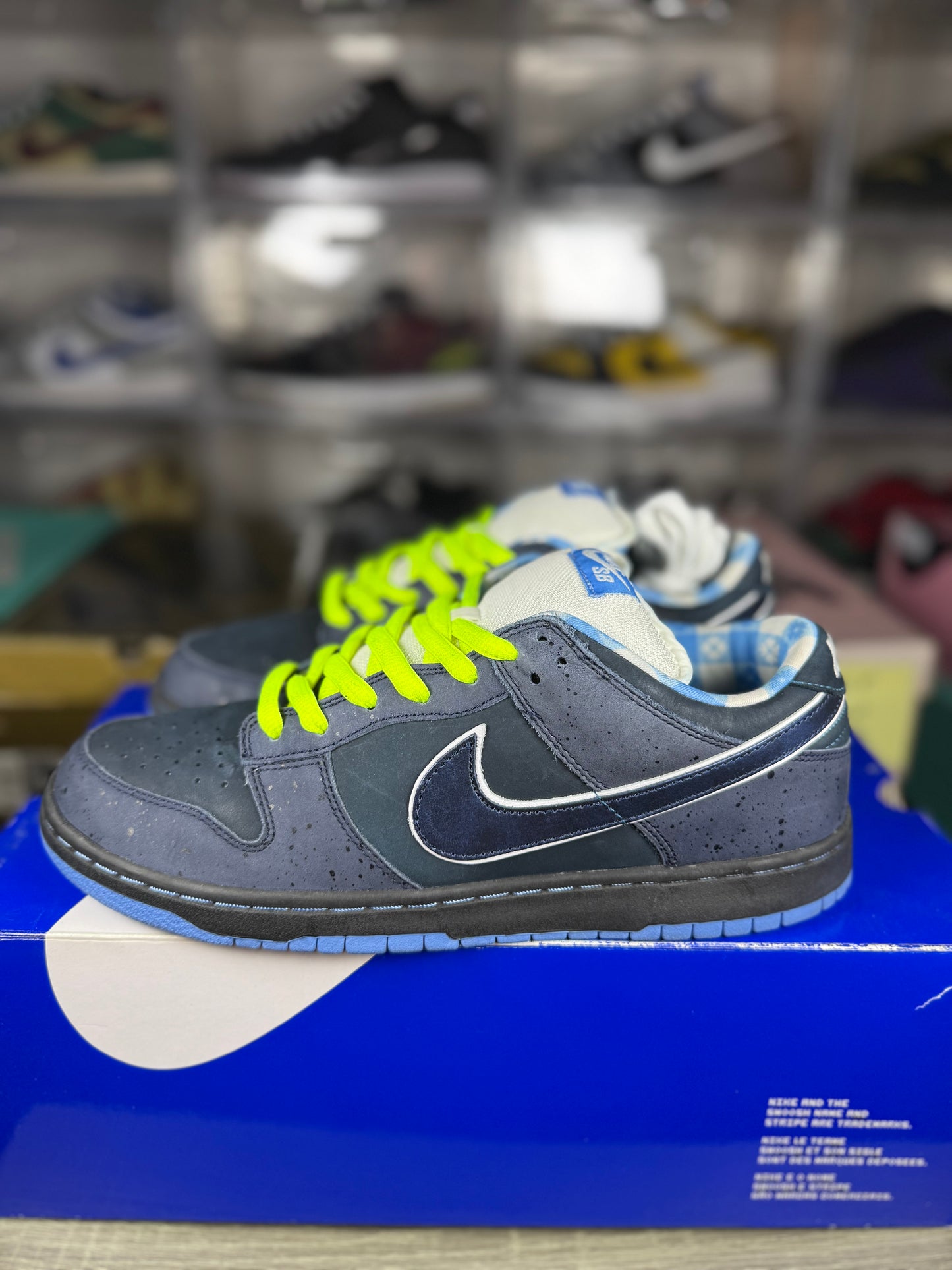 Nike dunk sb blue lobster sz 11