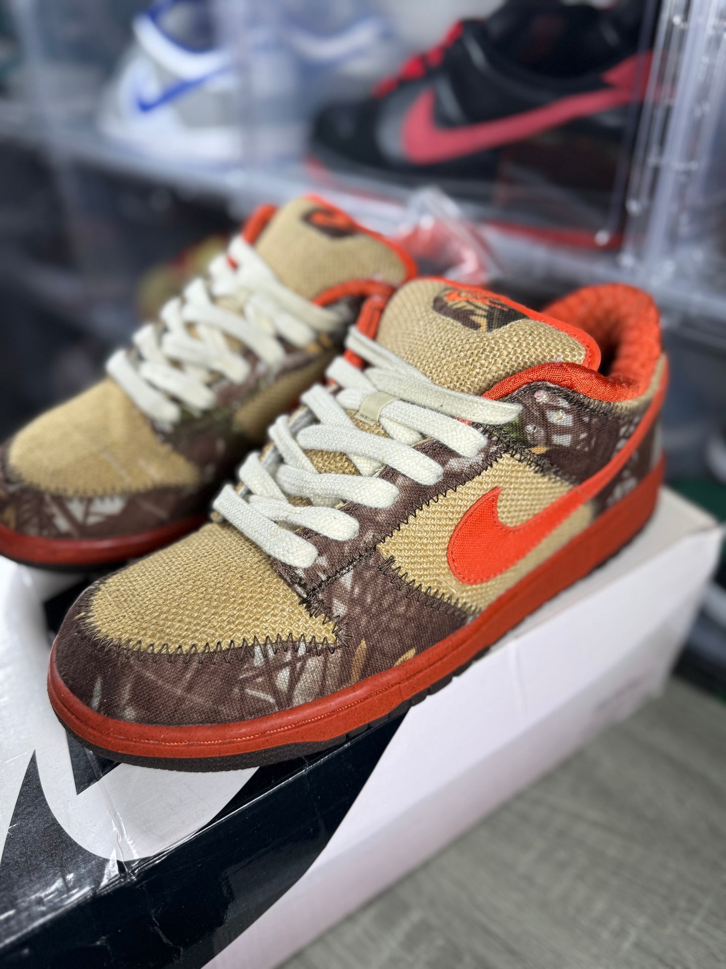 Nike dunk sb Reese Forbes Hunter sz 11
