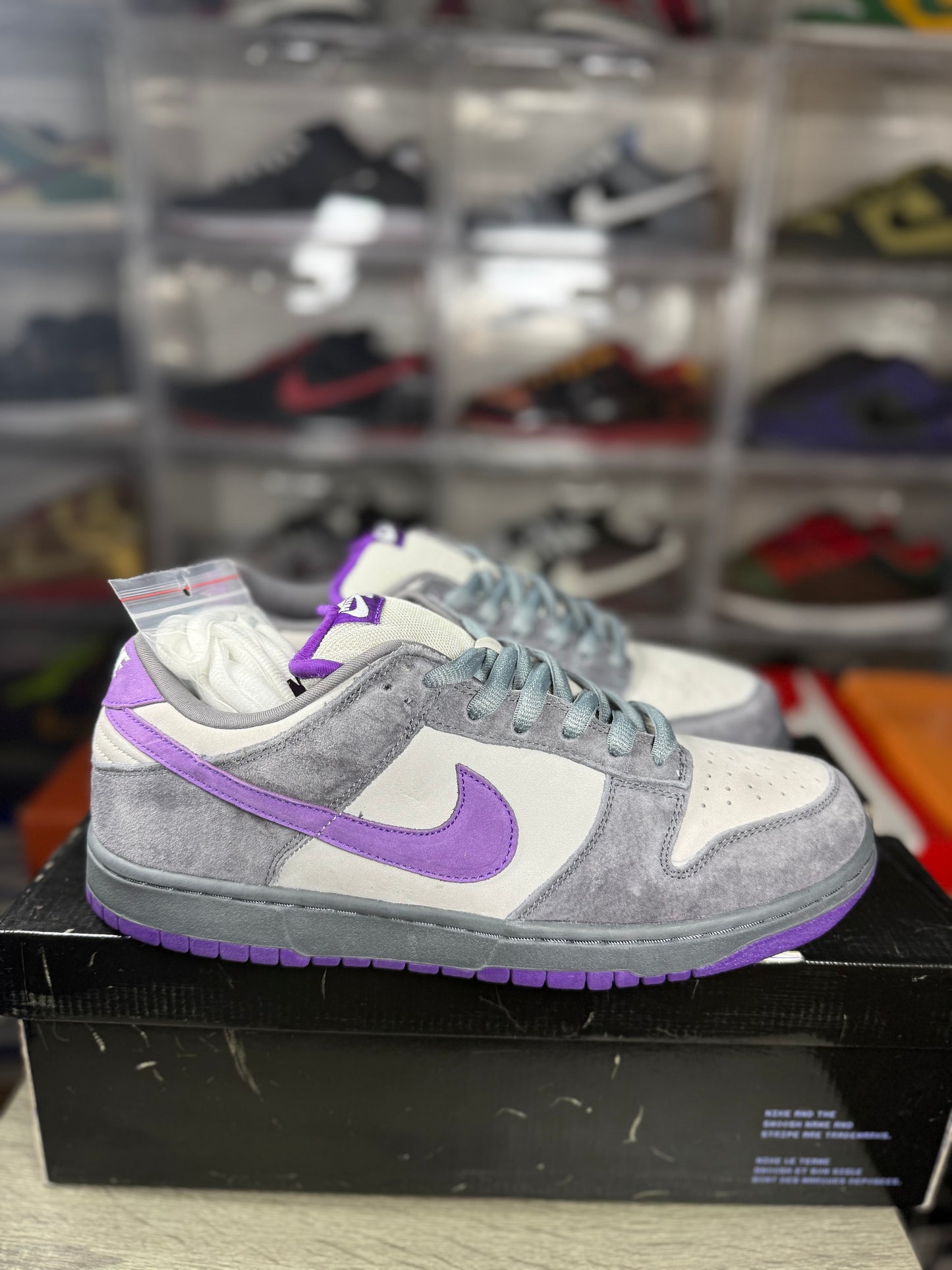 Nike dunk SB purple pigeon sz 12