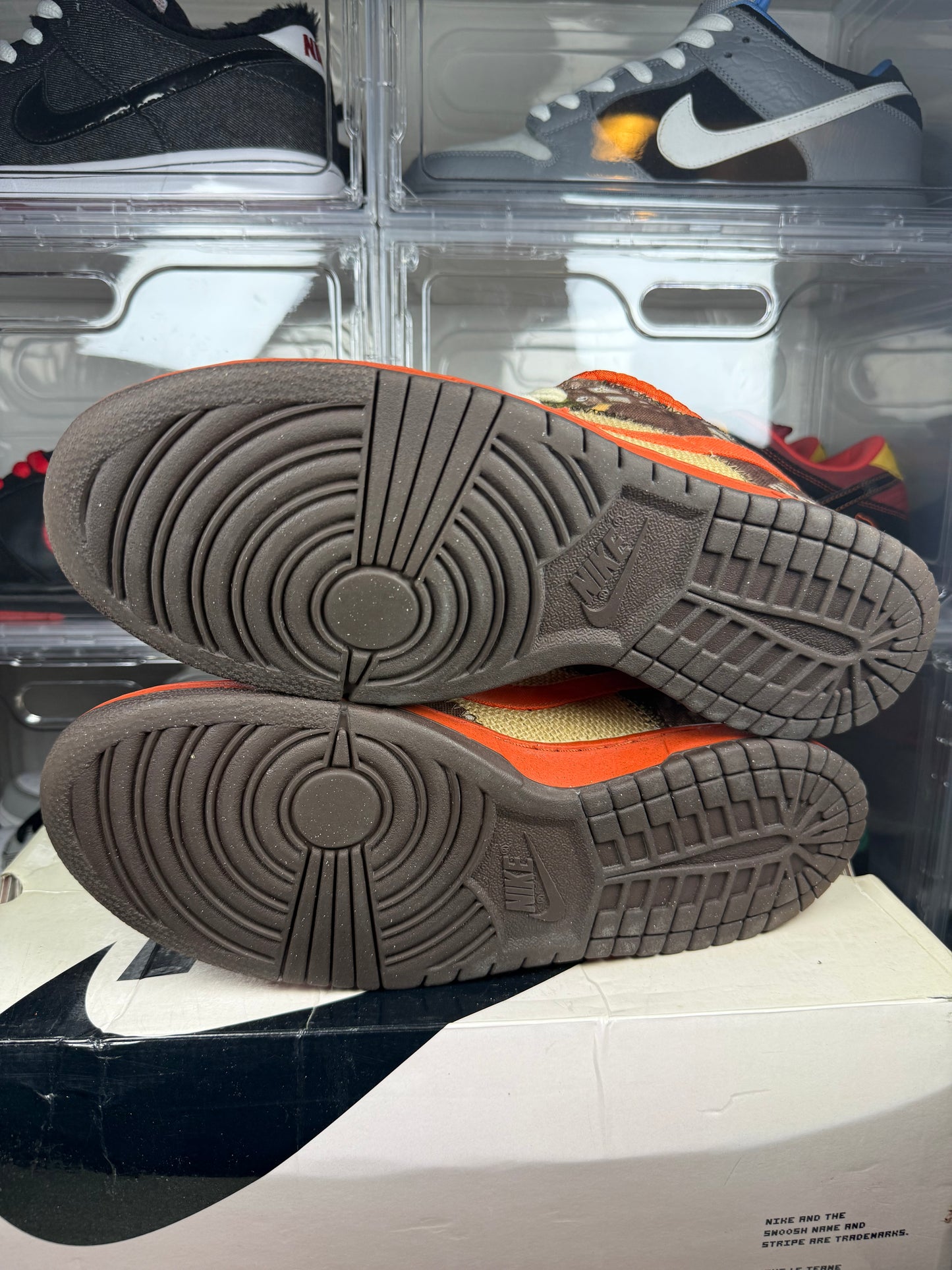 Nike dunk sb Reese Forbes Hunter sz 11
