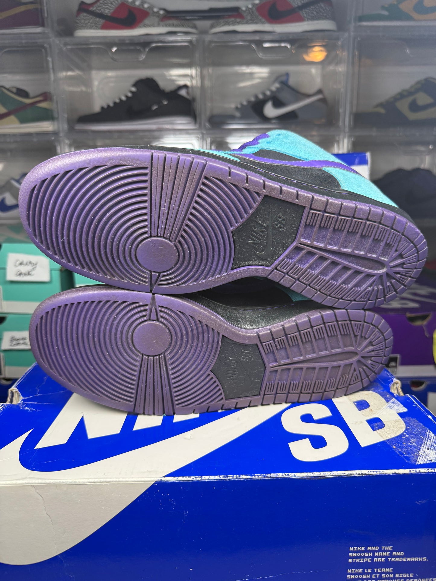 Nike dunk sb Skeletor sz 11