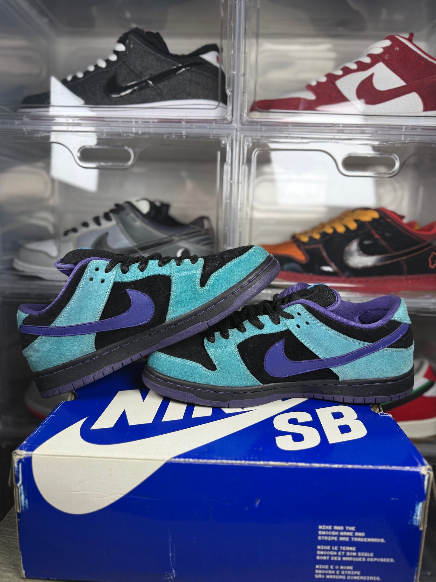 Nike dunk sb Skeletor sz 11