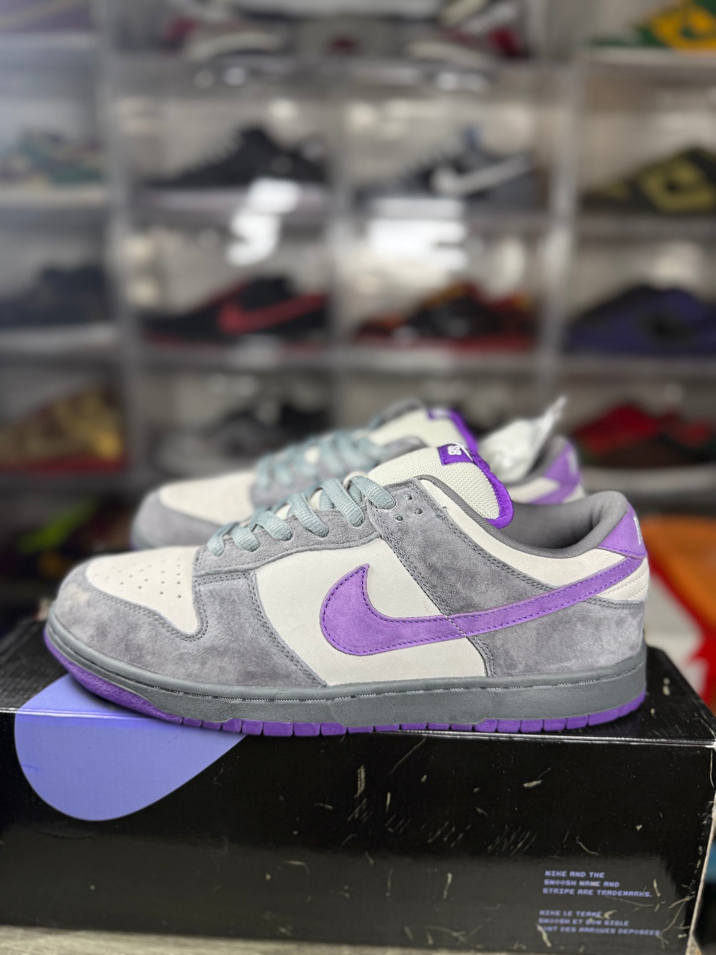 Nike dunk SB purple pigeon sz 12