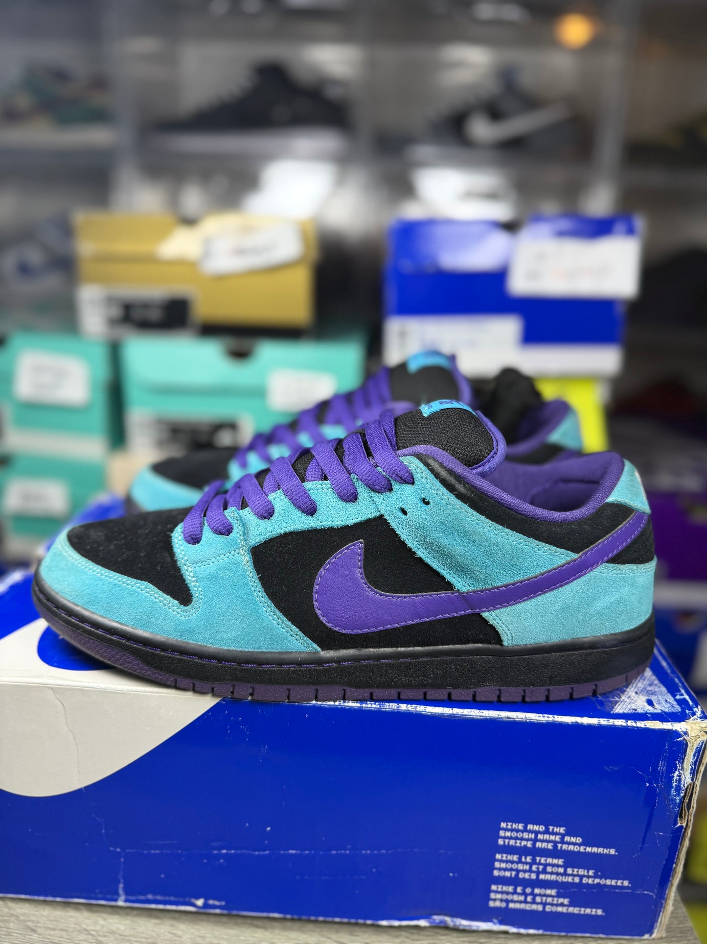 Nike dunk sb Skeletor sz 11