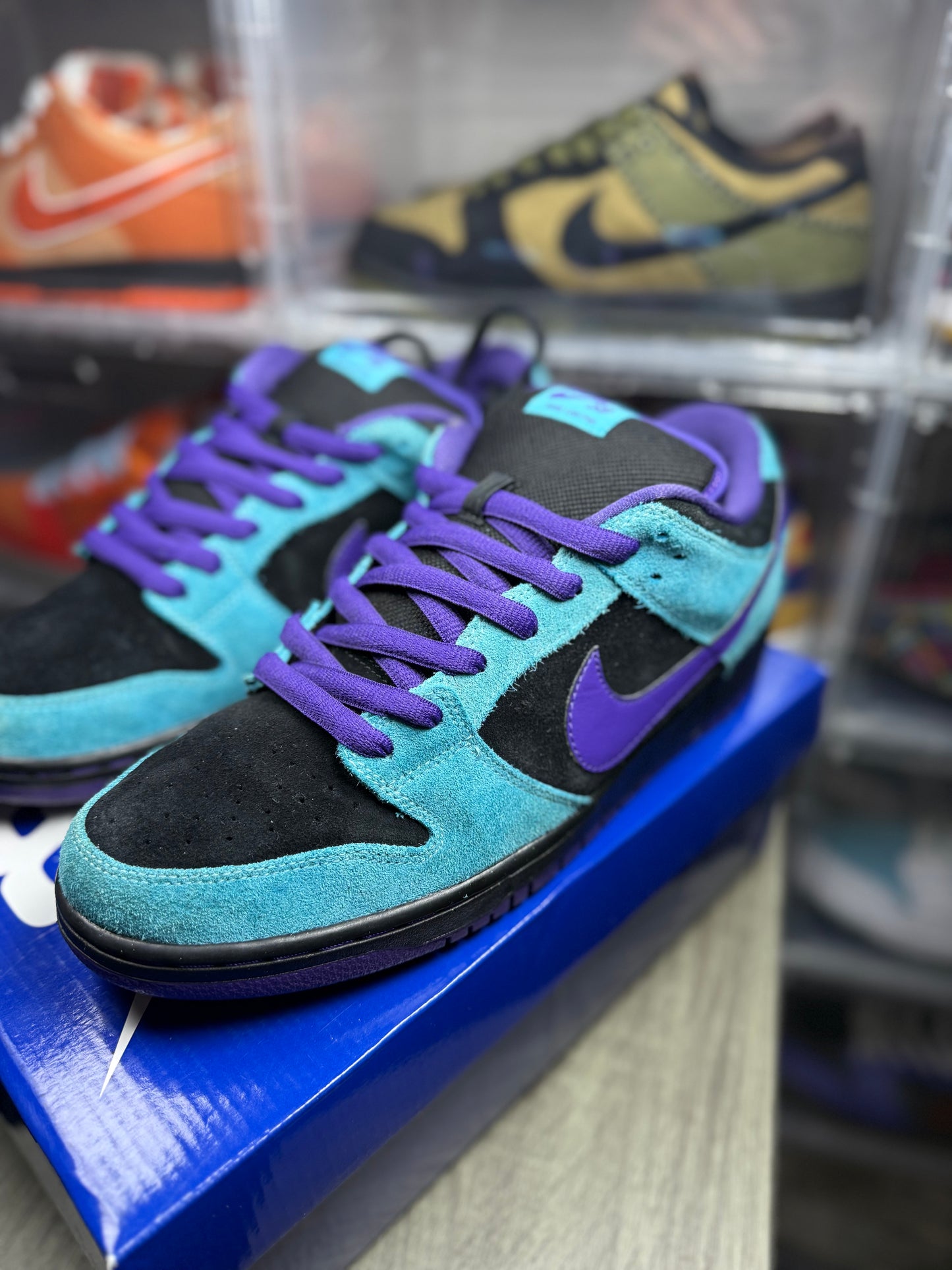 Size 12 - Nike Dunk Low Pro SB Skeletor