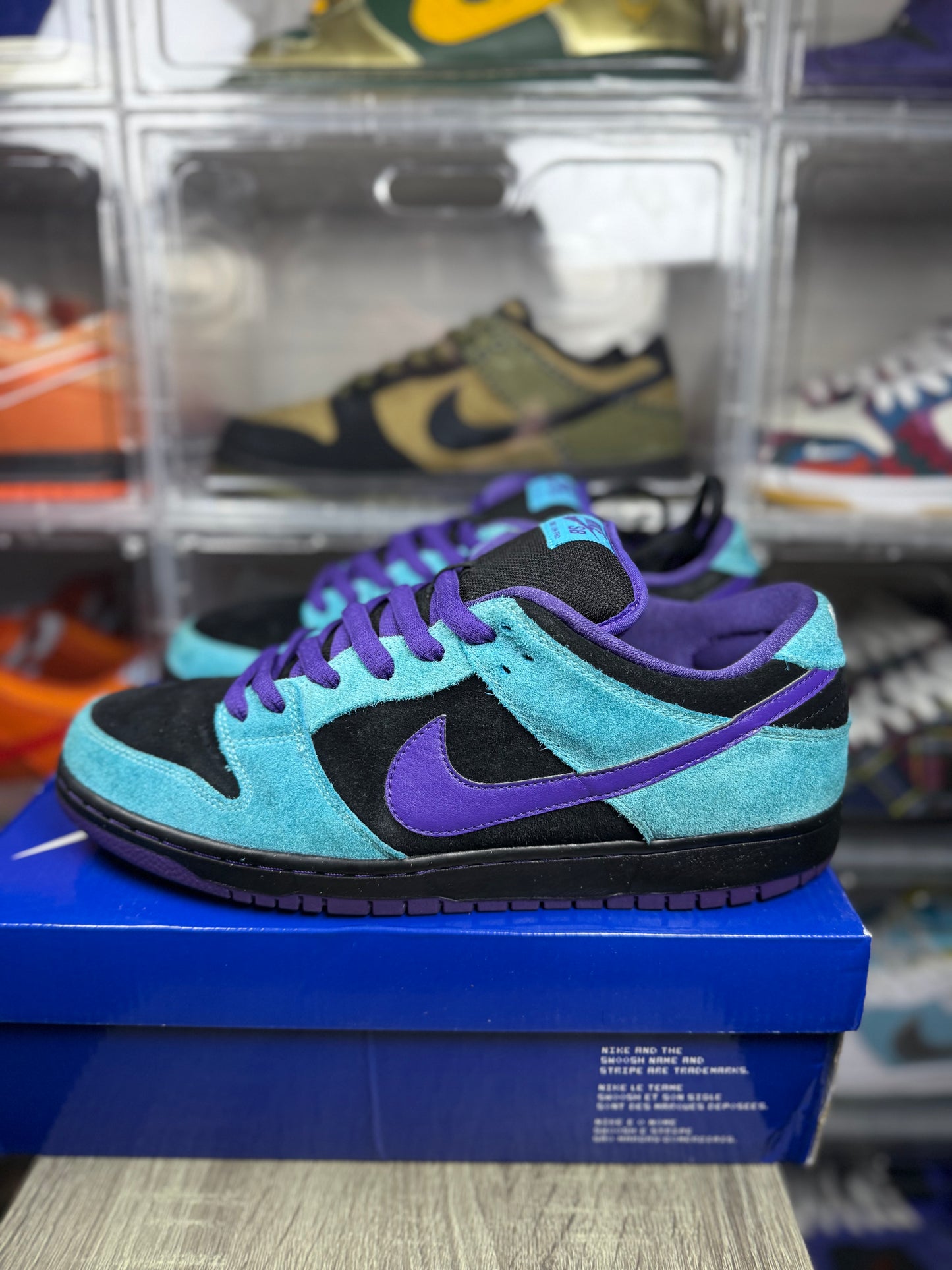 Size 12 - Nike Dunk Low Pro SB Skeletor