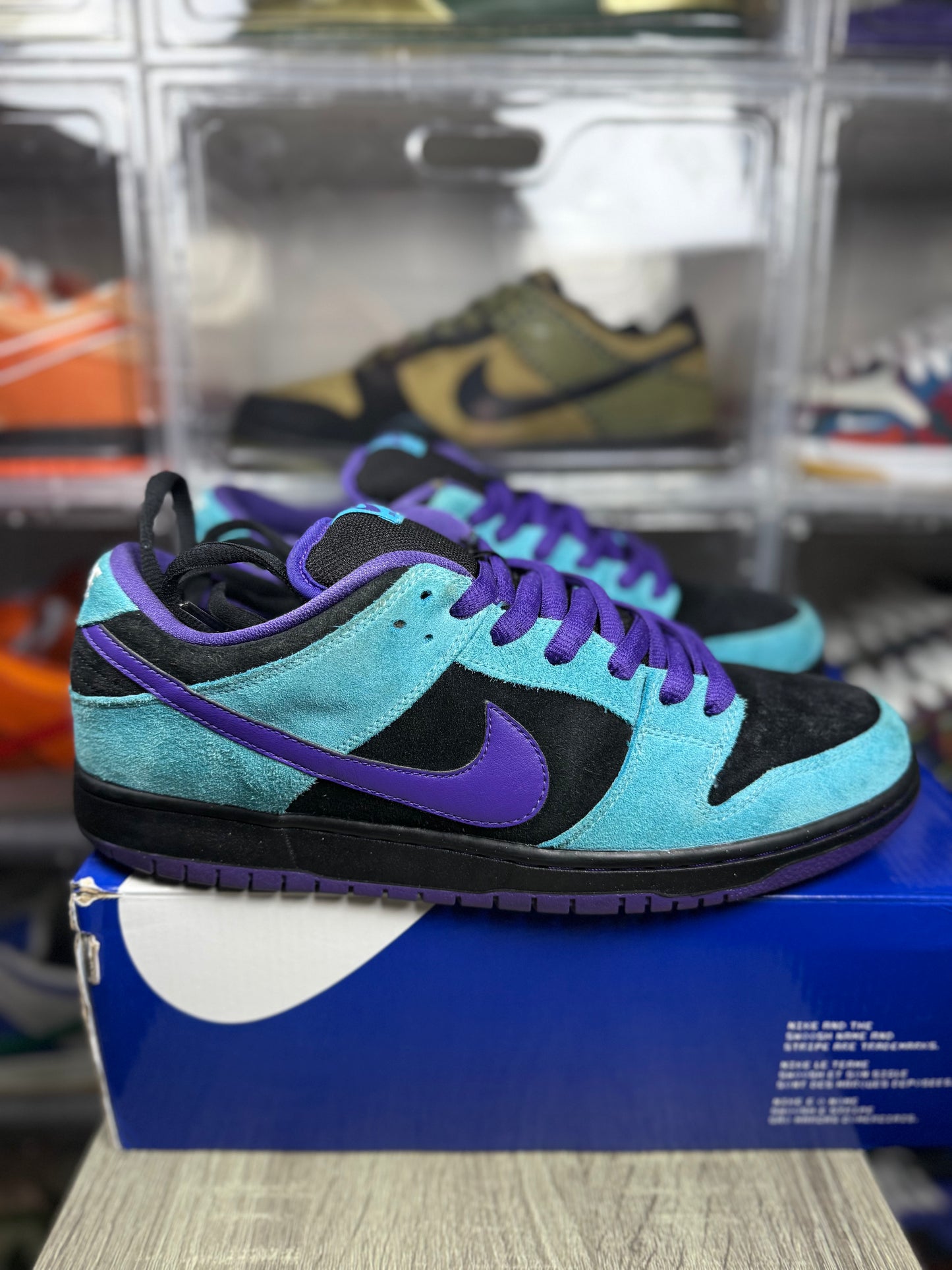 Size 12 - Nike Dunk Low Pro SB Skeletor