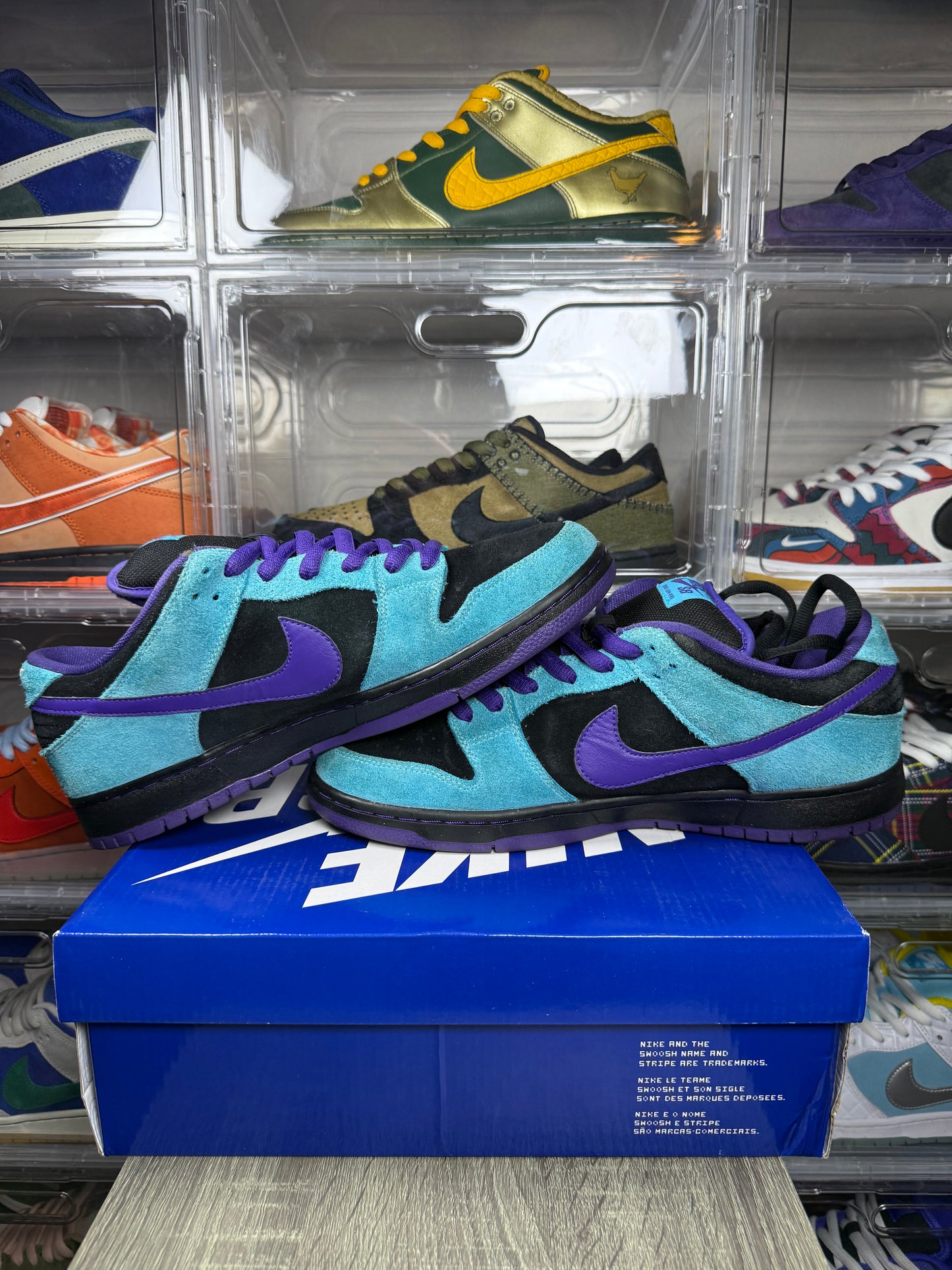 Size 12 - Nike Dunk Low Pro SB Skeletor
