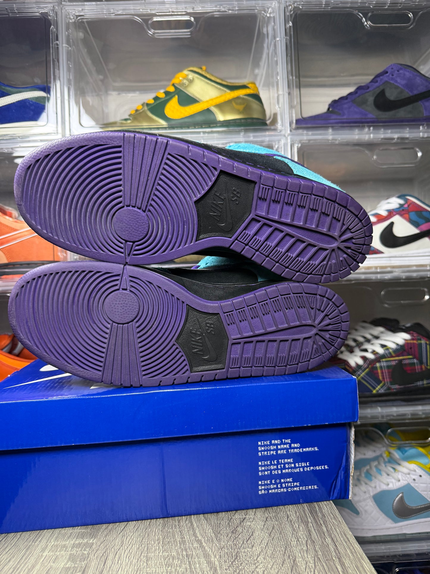 Size 12 - Nike Dunk Low Pro SB Skeletor