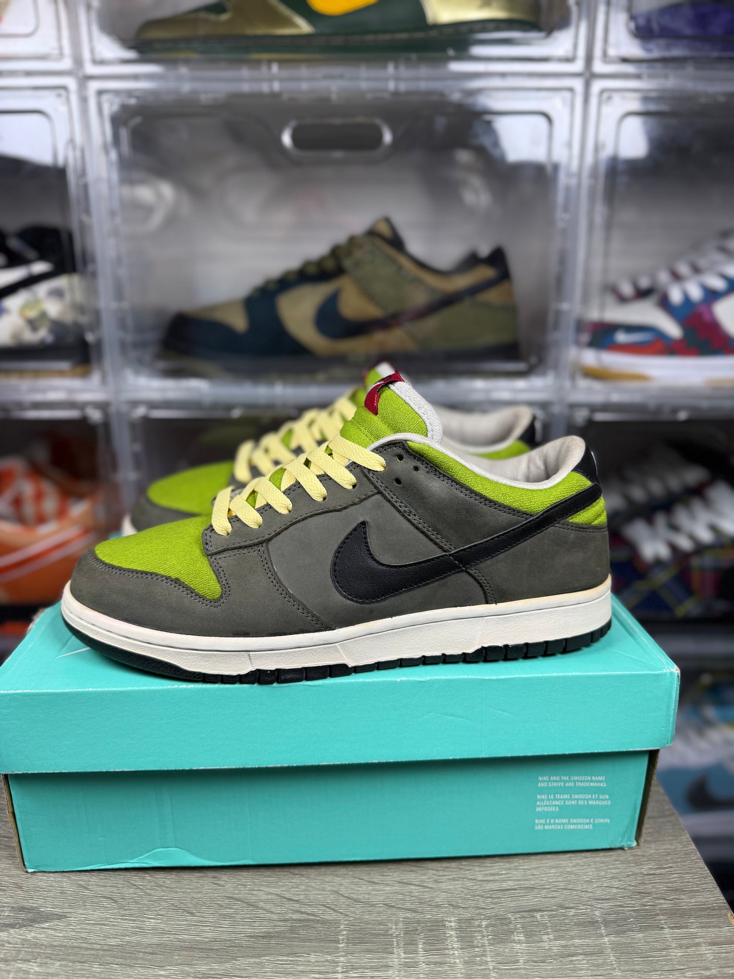 Size 9.5 - Nike Dunk Low Pro Kermit