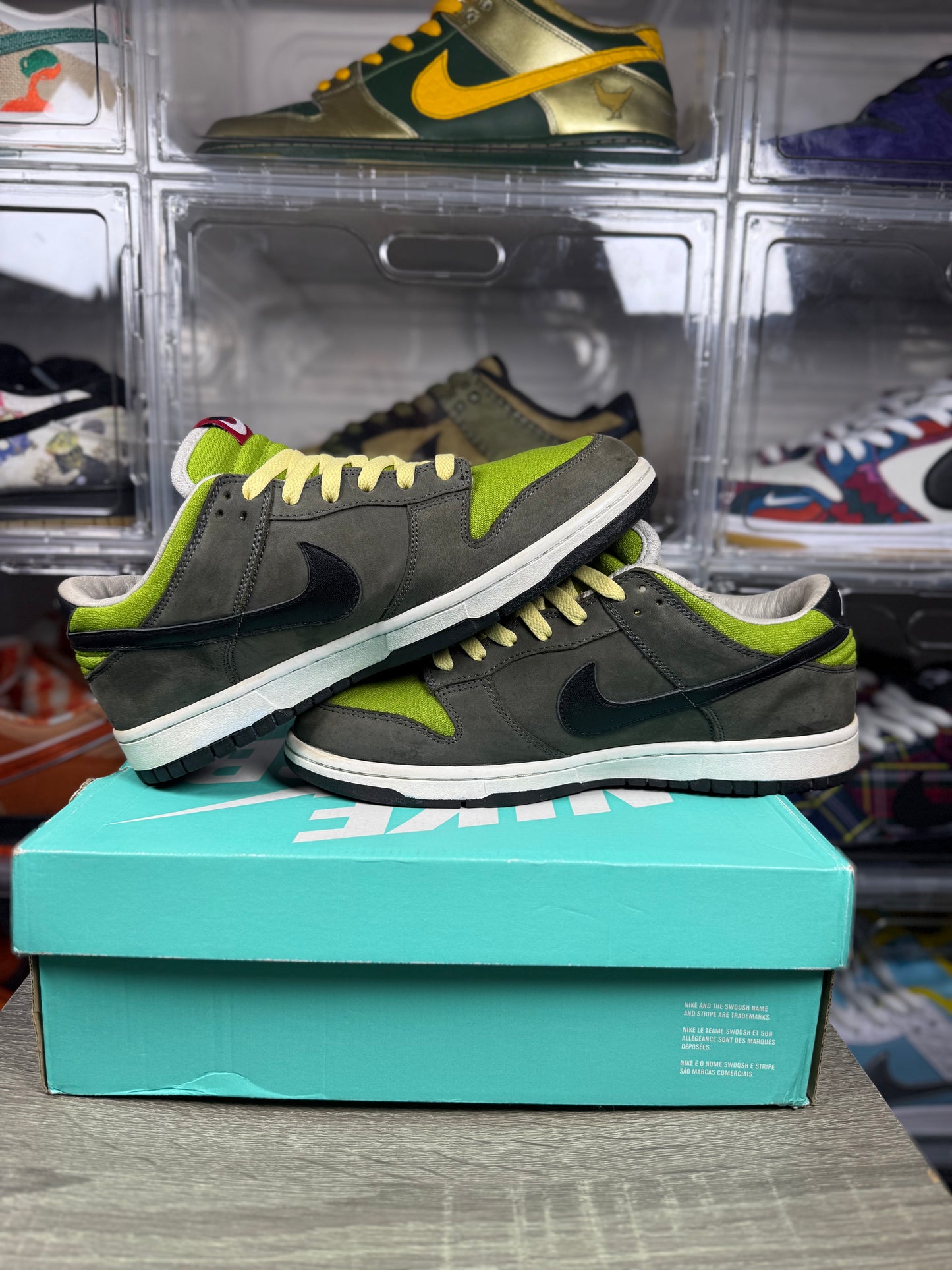 Size 9.5 - Nike Dunk Low Pro Kermit