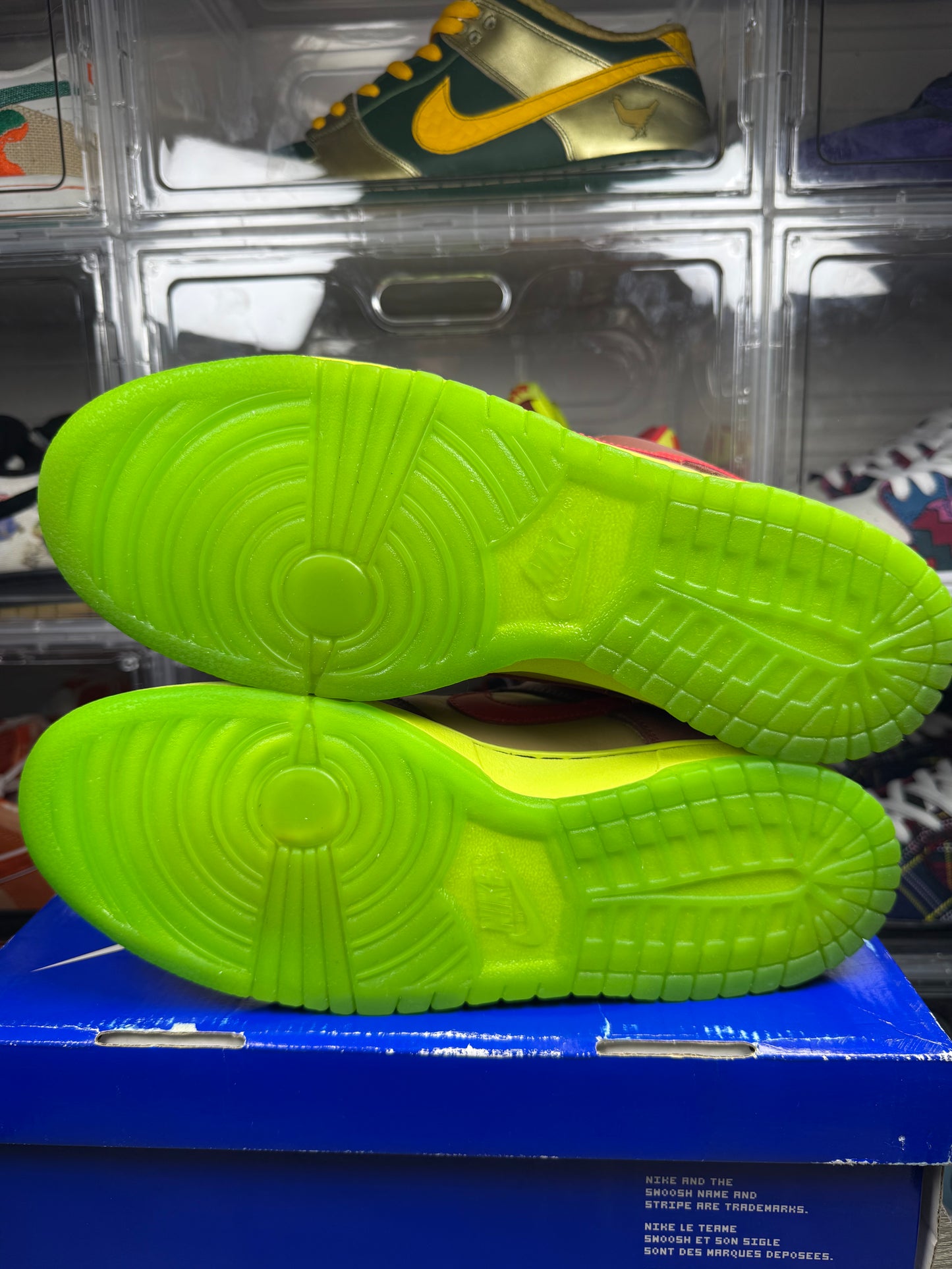 Size 10.5 - Nike Dunk Low Pro SB Toxic Sea Robin