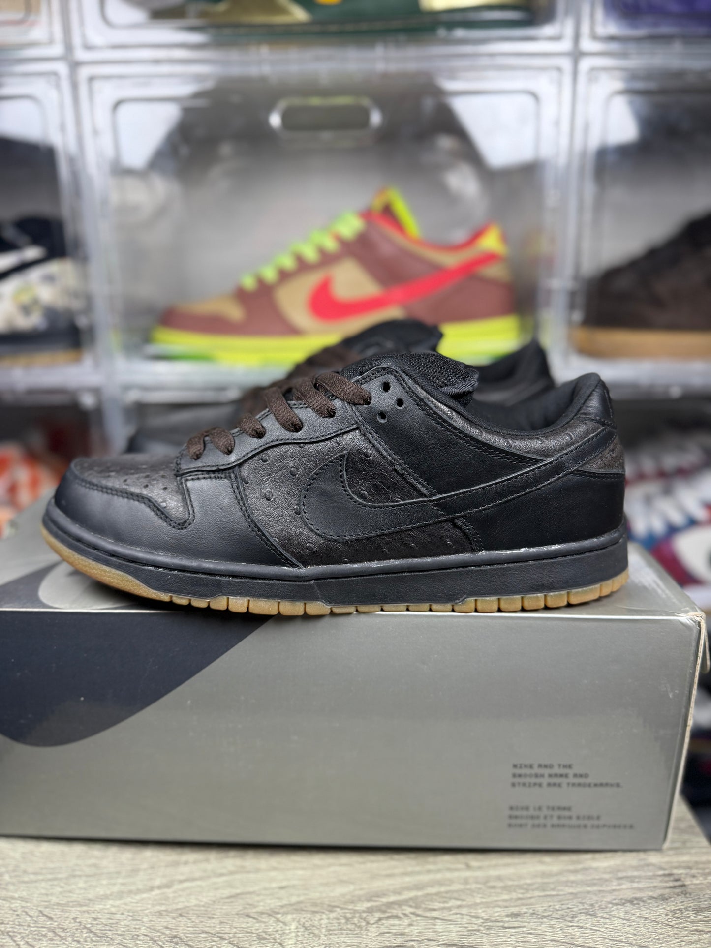 Size 10.5 - Nike Dunk Low Pro SB Ostrich