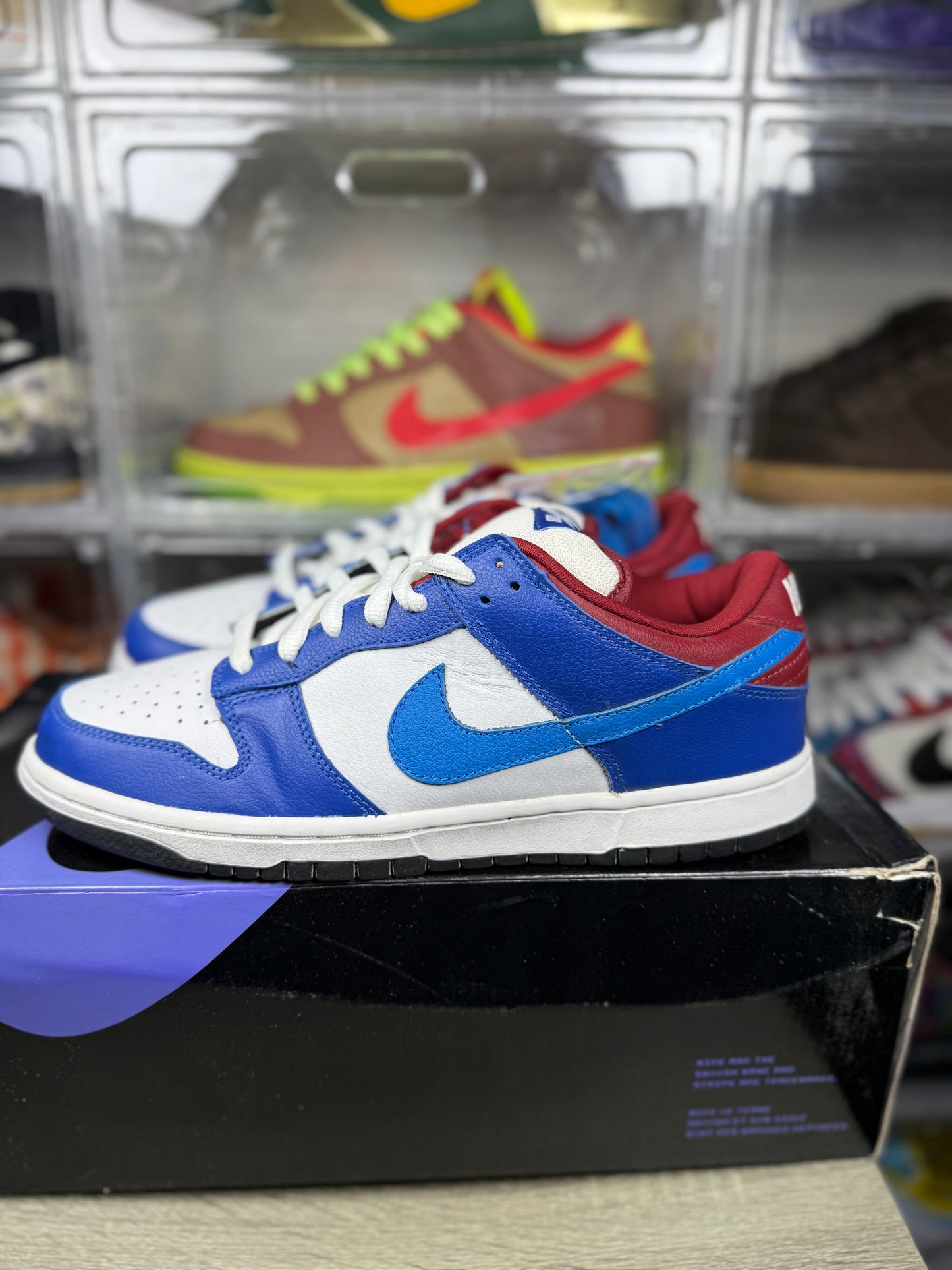 Size 10.5 - Nike Dunk Low Pro SB Neptune