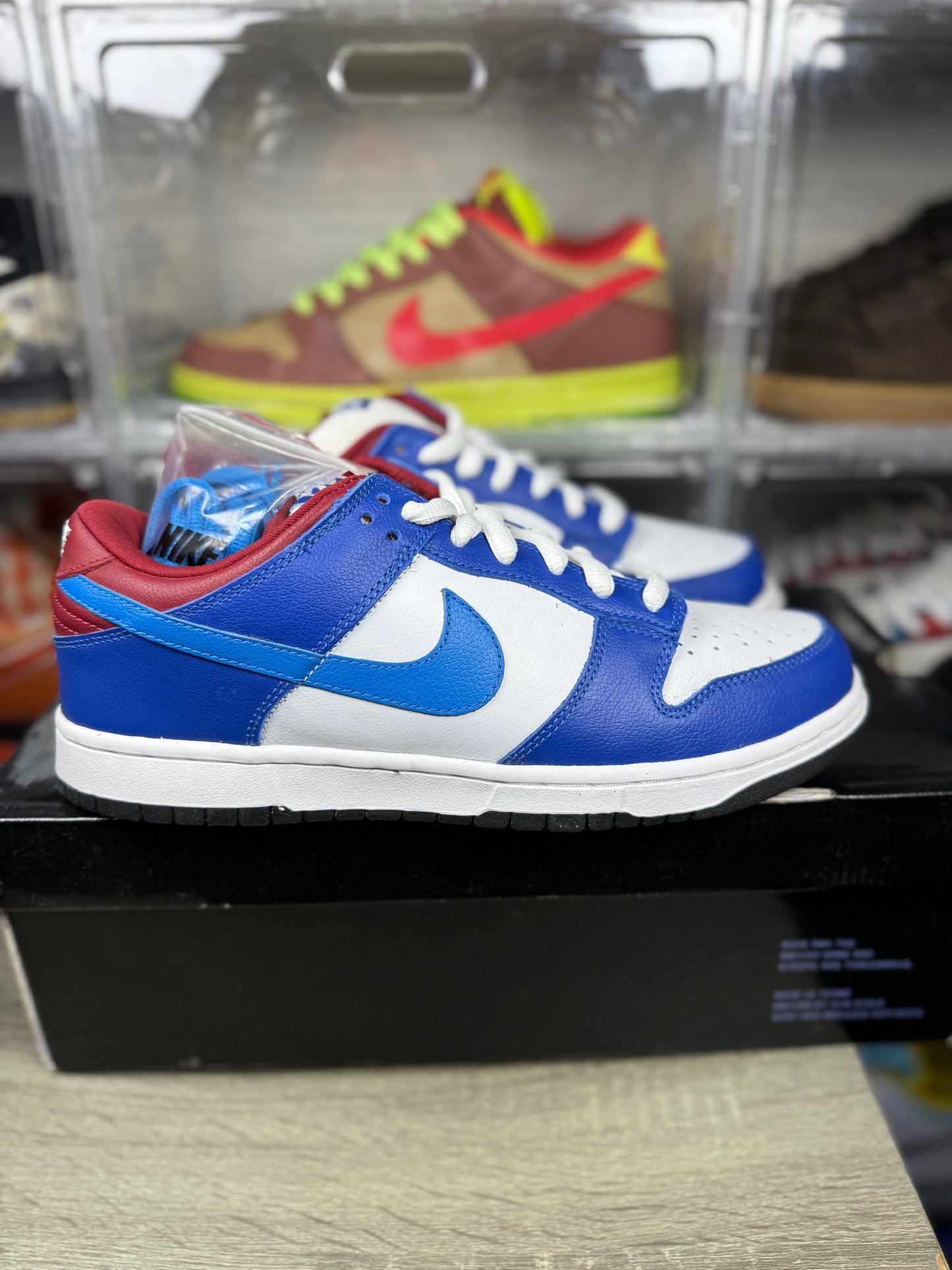 Size 10.5 - Nike Dunk Low Pro SB Neptune
