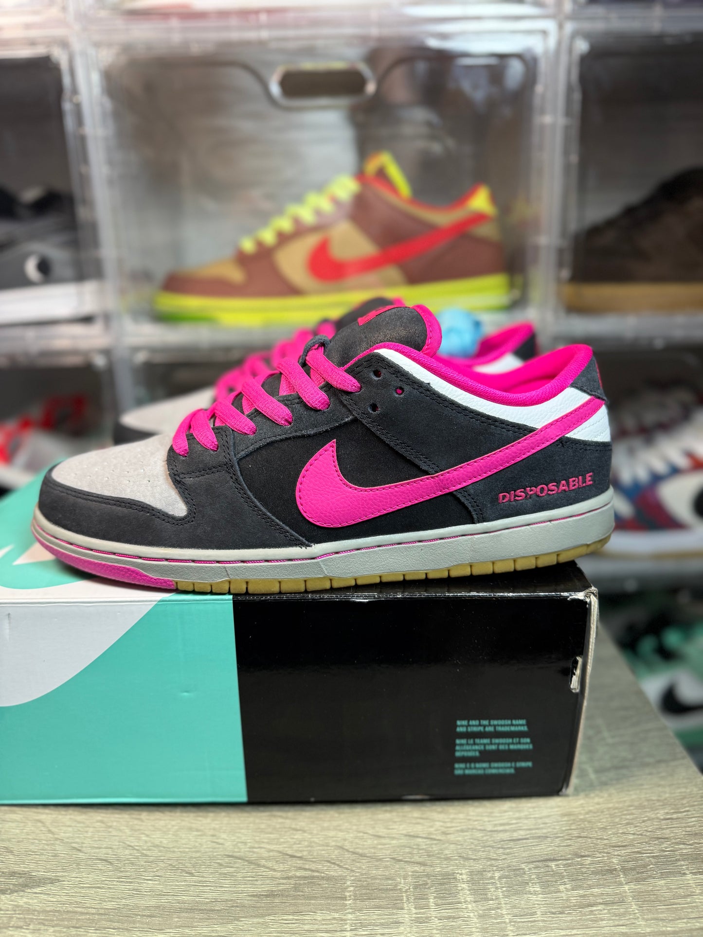 Size 11 - Nike Dunk Low Premium SB Disposable