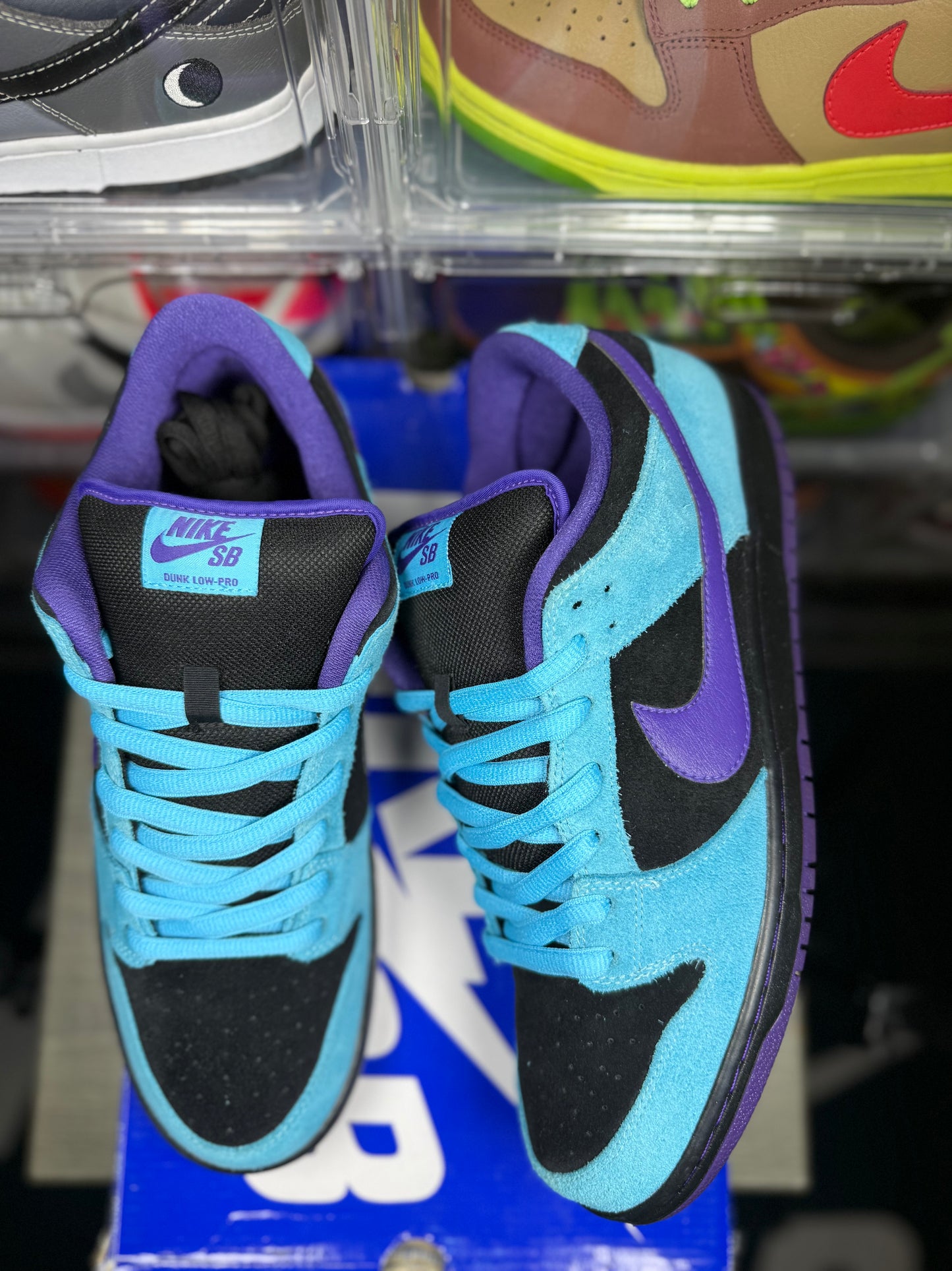 Size 12 - Nike Dunk Low Pro SB Skeletor