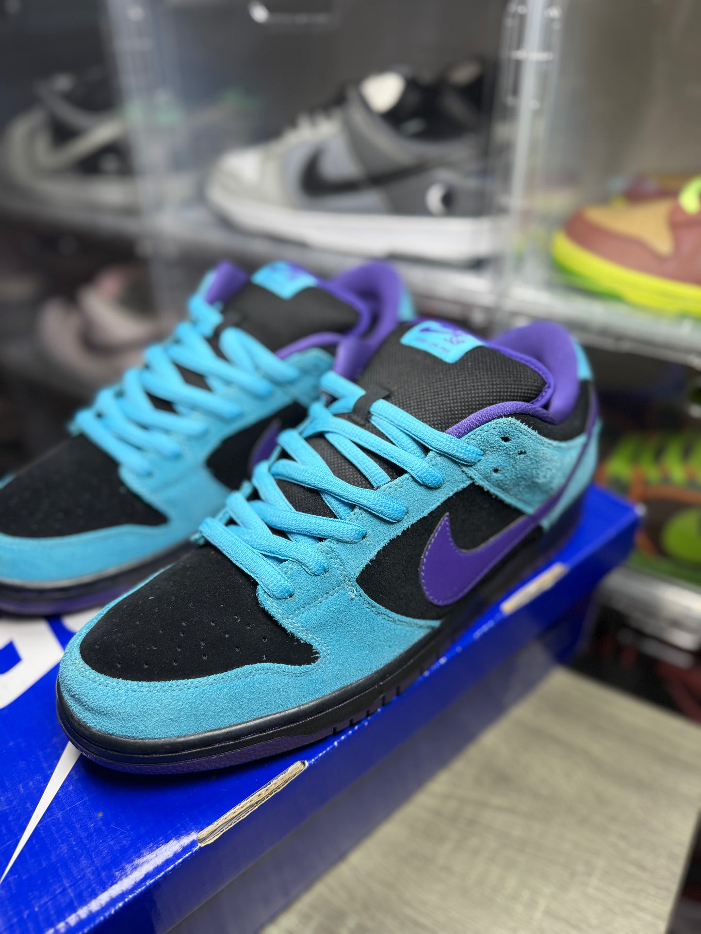 Size 12 - Nike Dunk Low Pro SB Skeletor