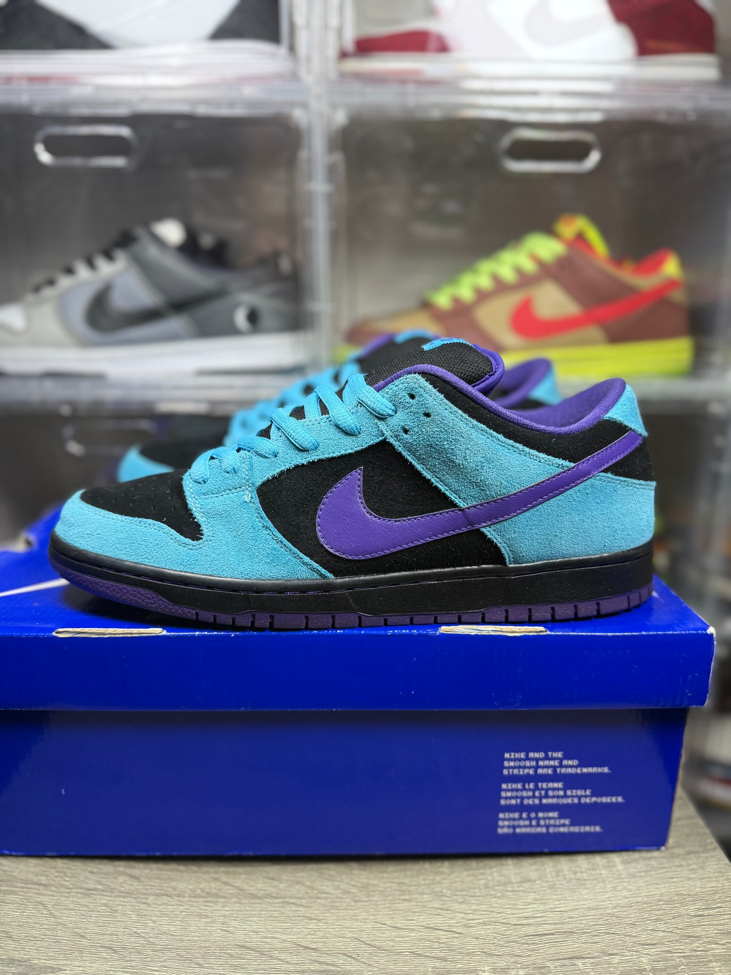 Size 12 - Nike Dunk Low Pro SB Skeletor