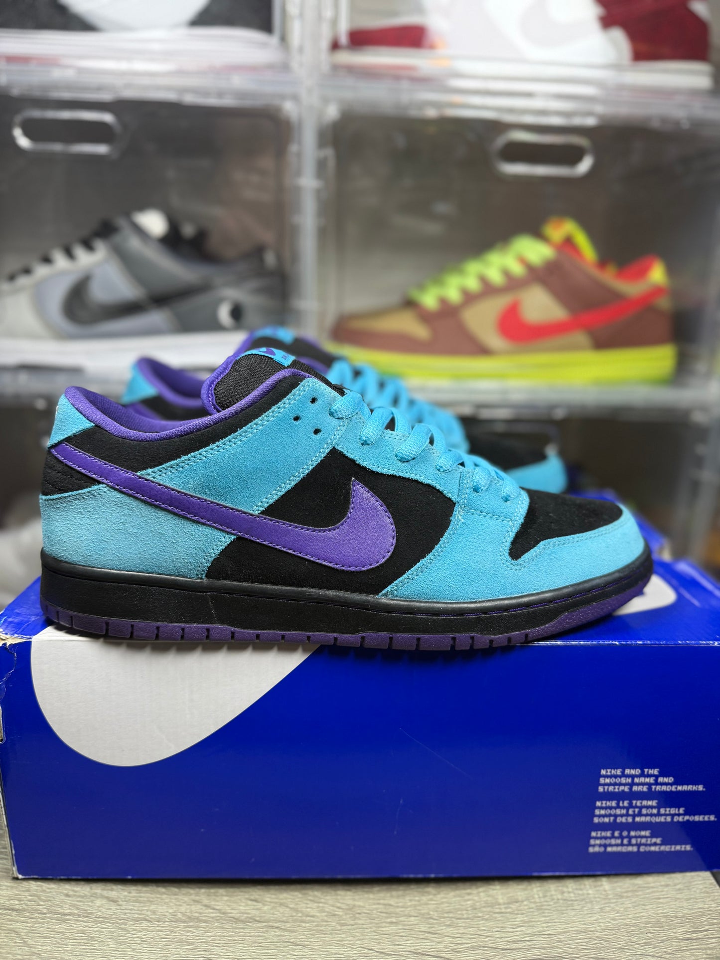 Size 12 - Nike Dunk Low Pro SB Skeletor