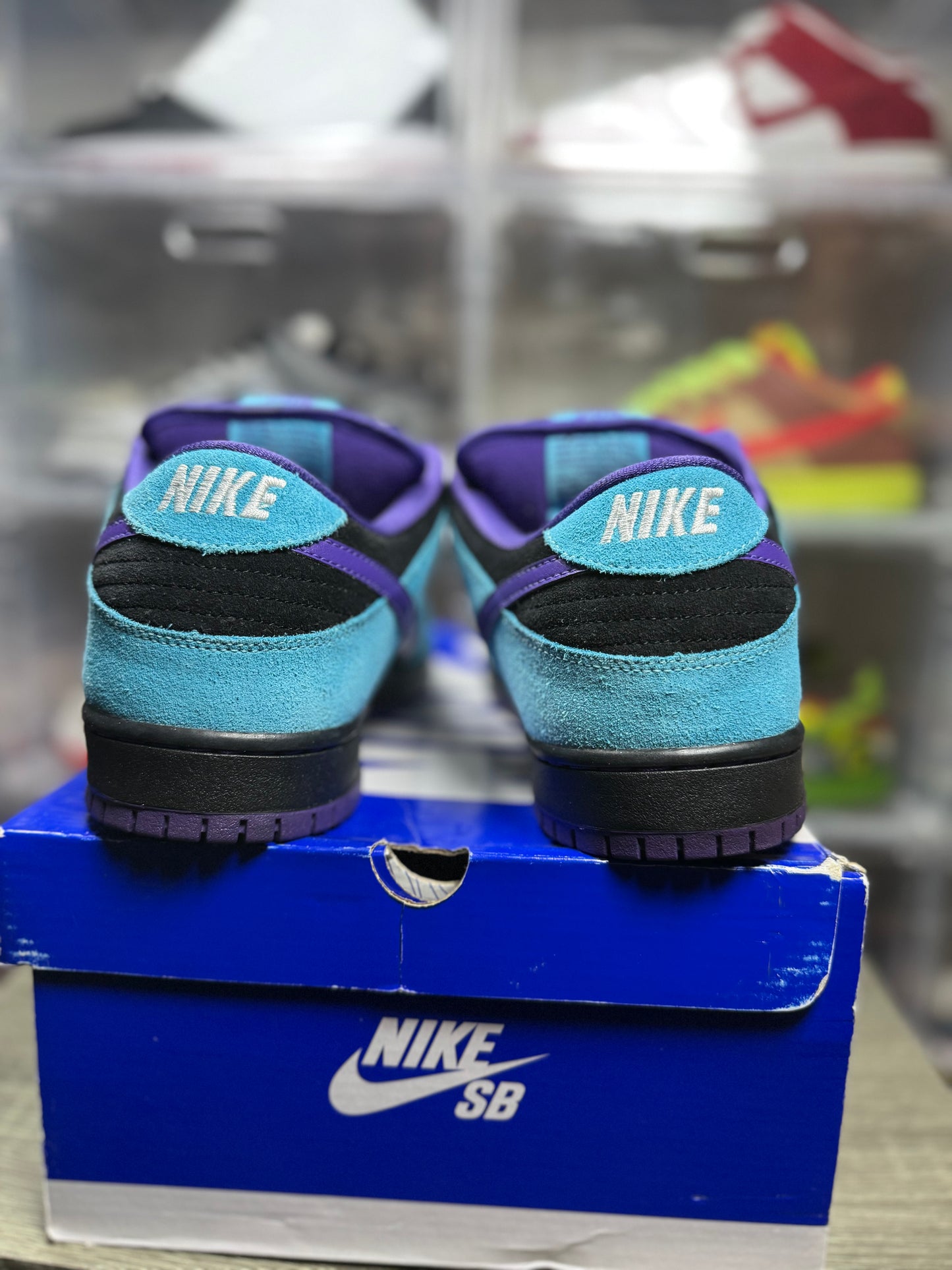 Size 12 - Nike Dunk Low Pro SB Skeletor