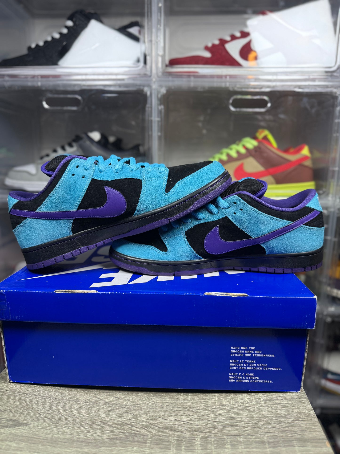 Size 12 - Nike Dunk Low Pro SB Skeletor