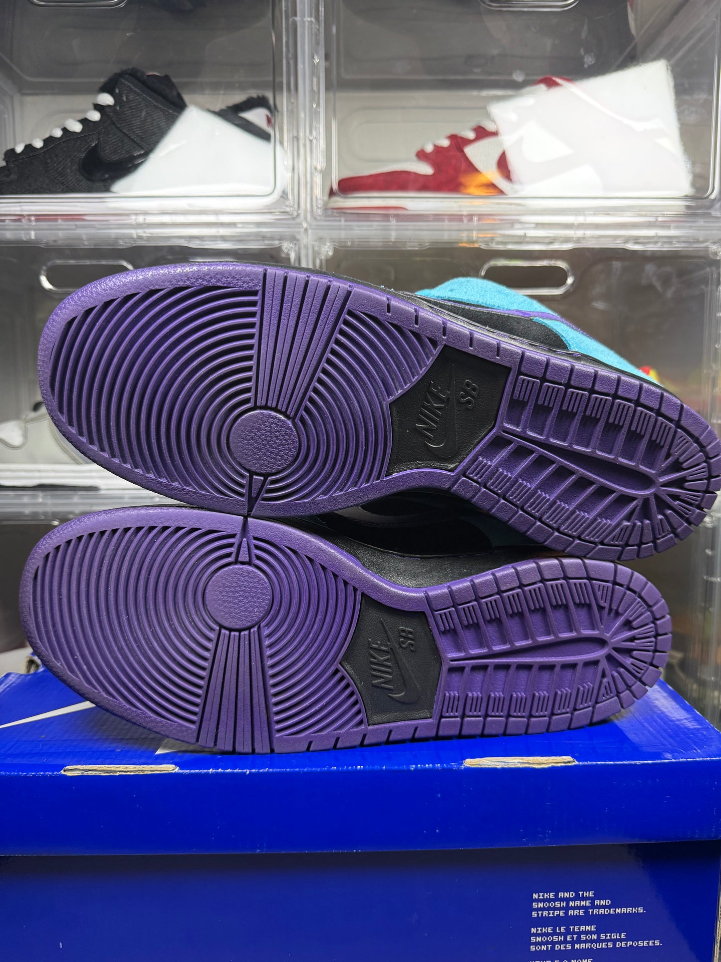 Size 12 - Nike Dunk Low Pro SB Skeletor
