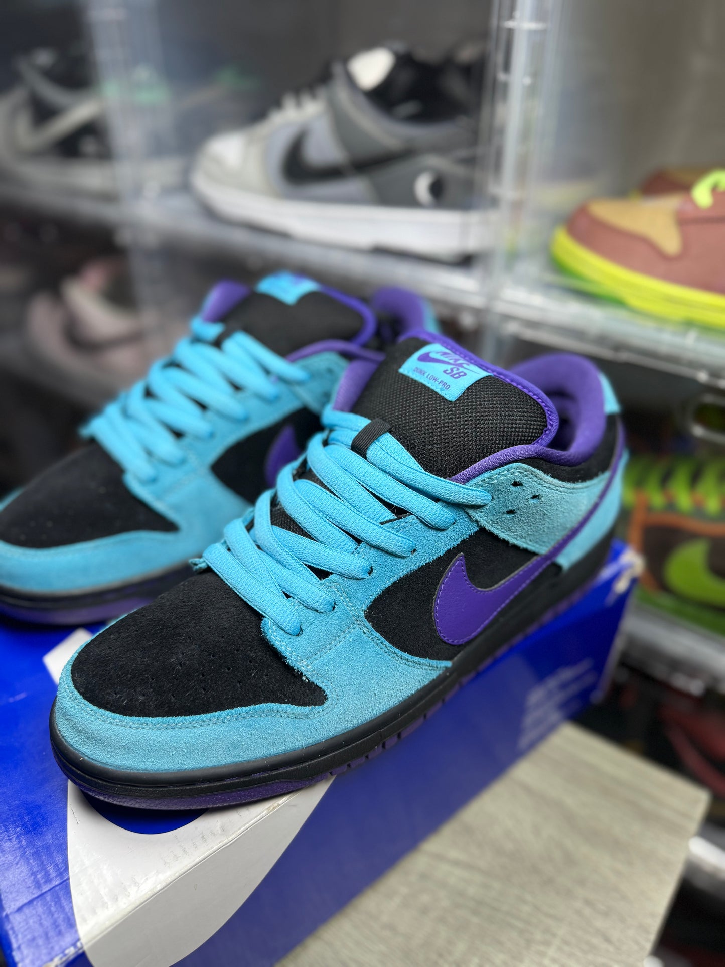 Size 11 - Nike Dunk Low Pro SB Skeletor