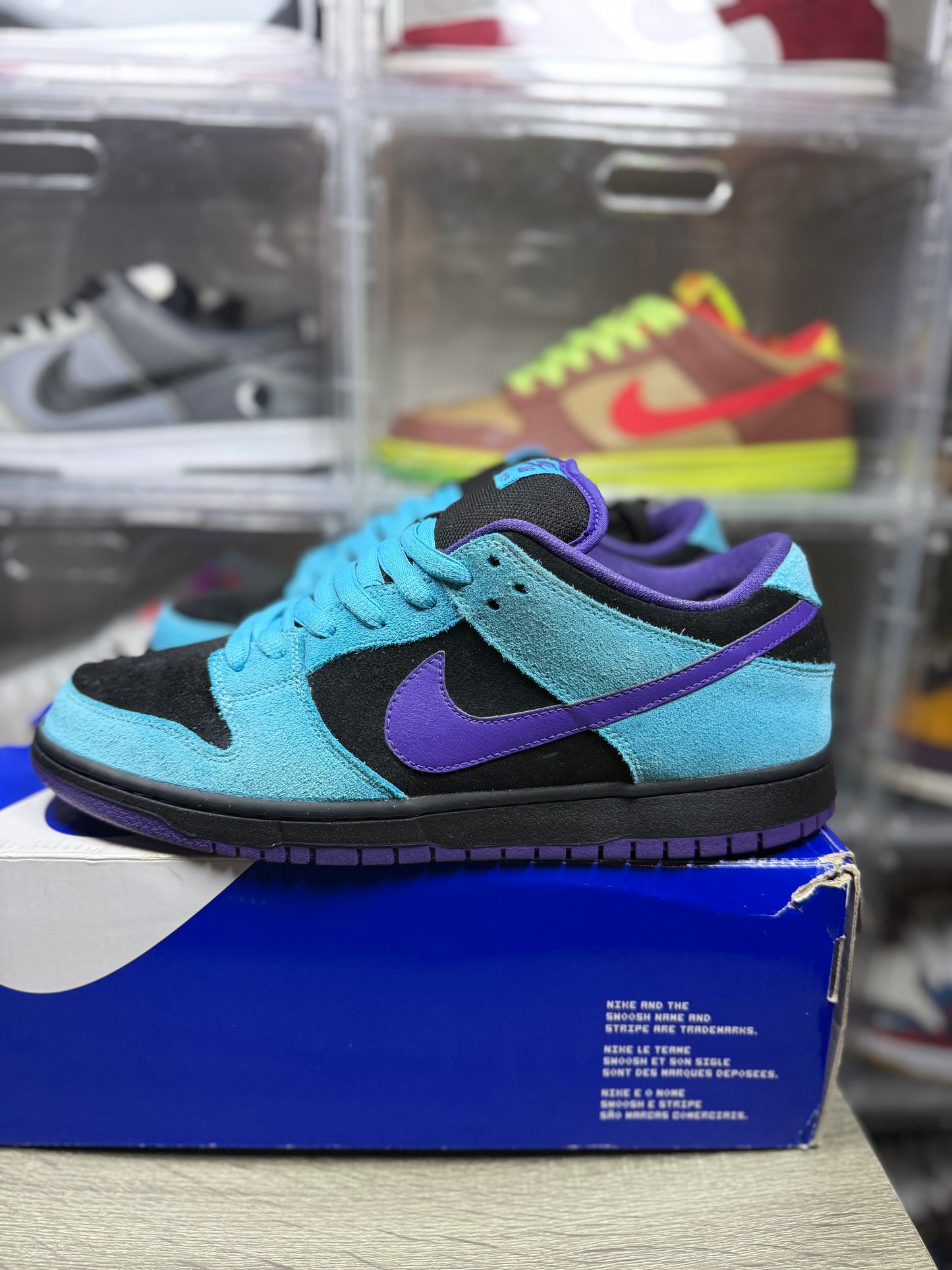 Size 11 - Nike Dunk Low Pro SB Skeletor