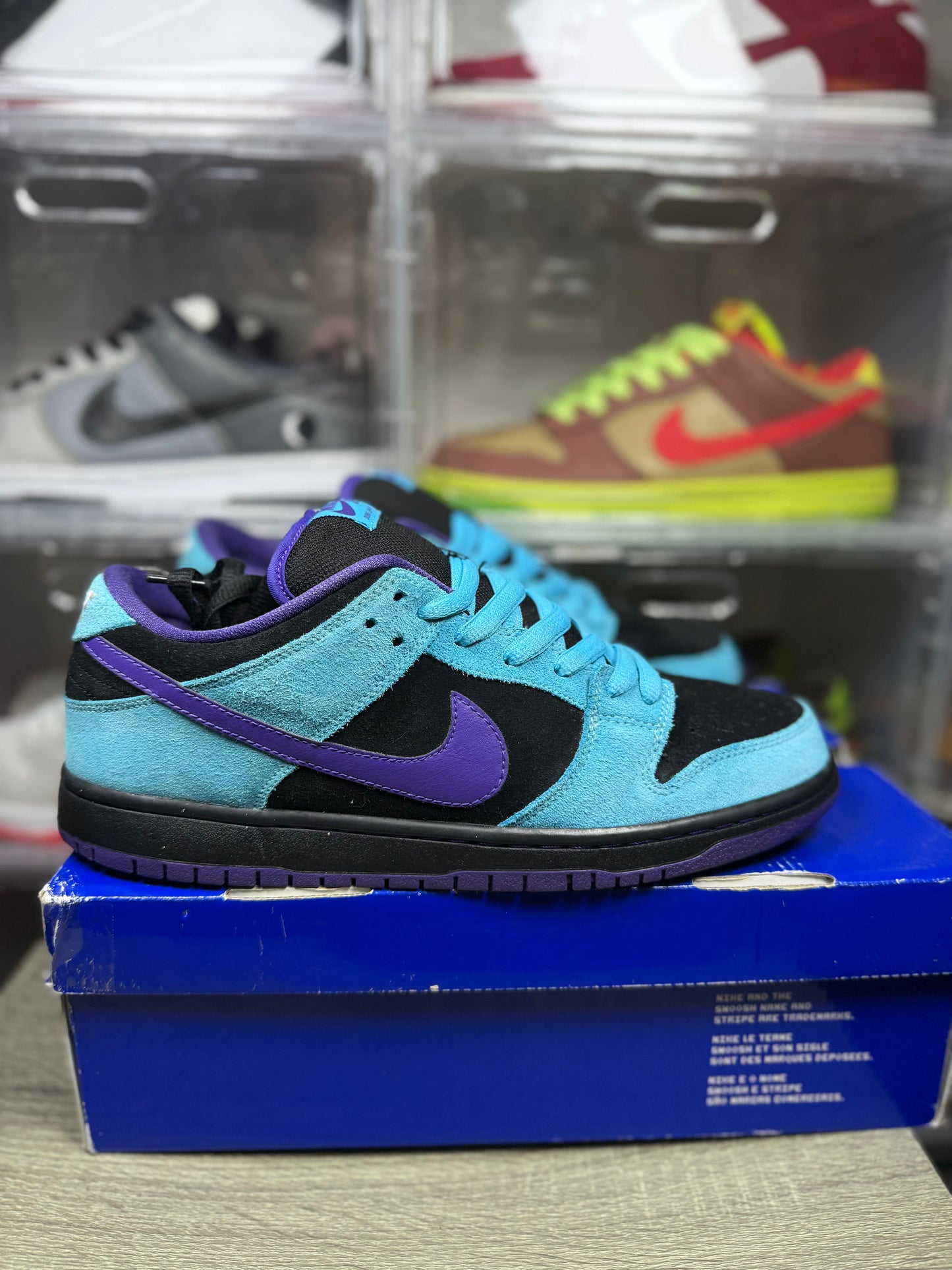 Size 11 - Nike Dunk Low Pro SB Skeletor
