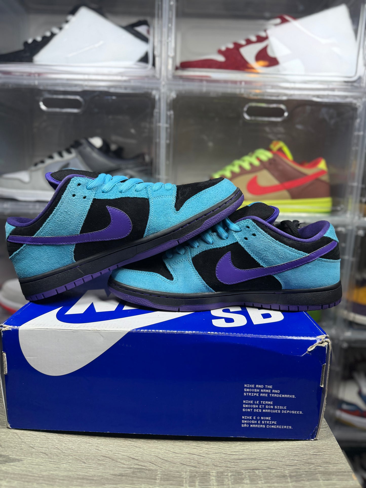 Size 11 - Nike Dunk Low Pro SB Skeletor
